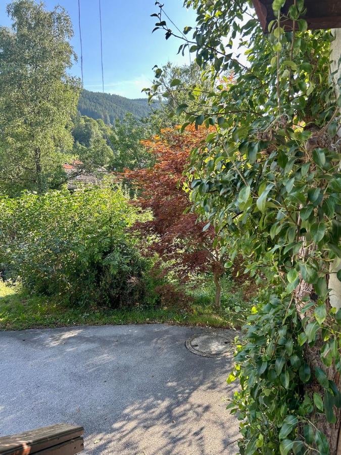 Apartment Huberspitz - Ruhe, Berge & Natur Hausham Buitenkant foto